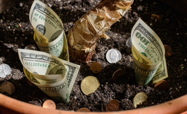 cash in a flower pot