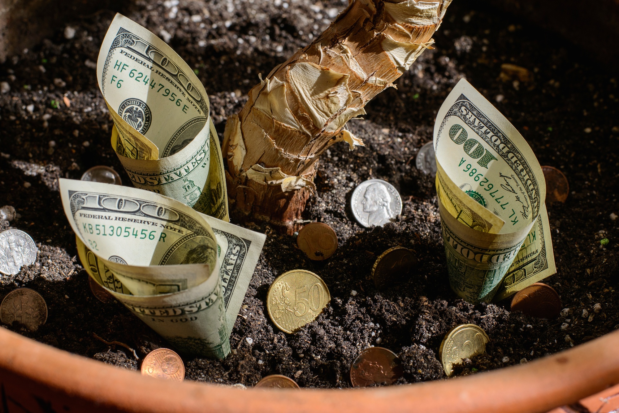 Understanding Money: From Barter to Cryptocurrency