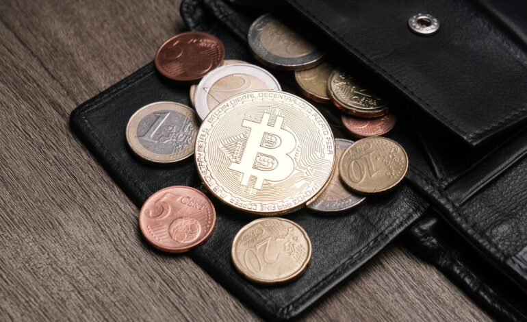 Crypto Wallets: Your Gateway to the World of Digital Assets