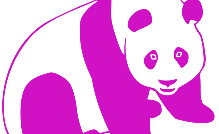 Startup Highlight – QuestPanda