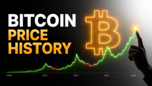 Bitcoin price history chart showing BTC growth from 2009 to 2025 with major bull and bear market cycles.