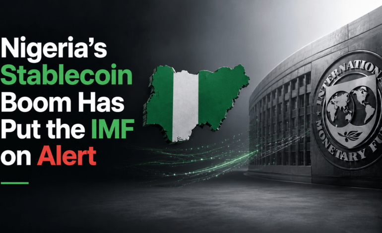 Nigeria’s Stablecoin Boom Has Put the IMF on Alert
